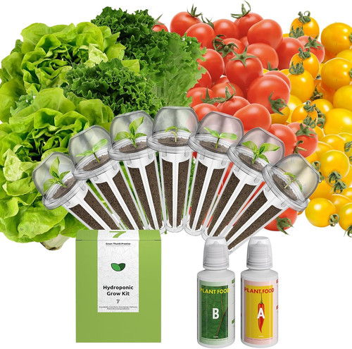 Organic salad green seed pod - green,
