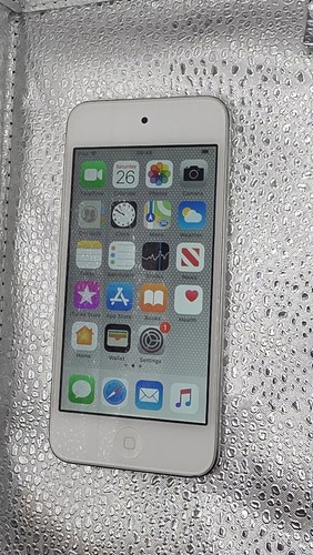 Apple ipod touch 6th - apple,