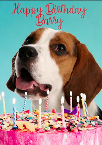 Personalised beagle card - personalised,