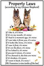 German Shepherd Dog GSD -