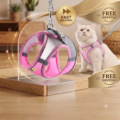 Dog harness and - harness, set