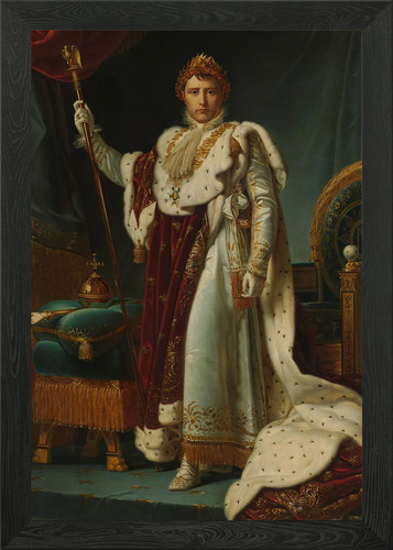 Napoleon emperor framed - as,