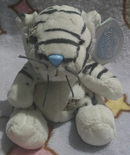 Blue nose friends bengal - nose,