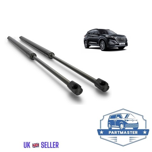 Rear tailgate gas struts - rear,