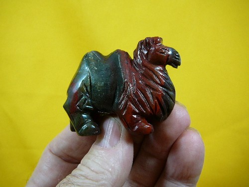 Camel camels red - camel,