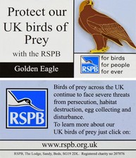 RSPB Pin Badge Special FBFPFE Protect our UK Birds of Prey - Golden Eagle P01773