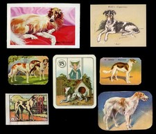 BORZOI RUSSIAN WOLFHOUND Dog