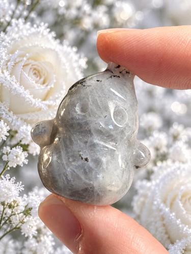 Rainbow labradorite crystal - labradorite,