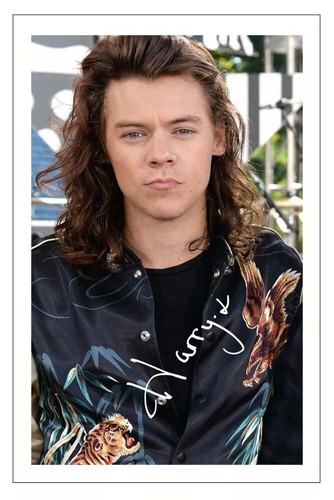 Harry styles signed - styles,
