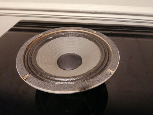 Traynor bass driver dr29 - bass,