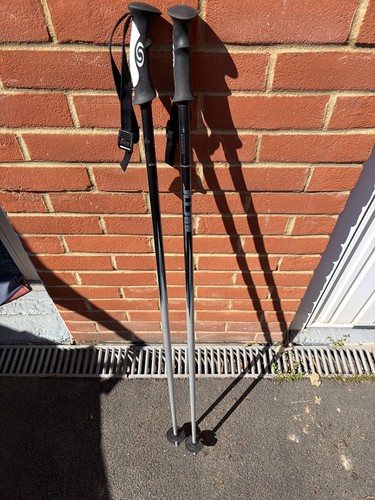 Salomon arctic ski pole - salomon,