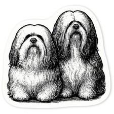'Two Lhasa Apso Dogs' Clear