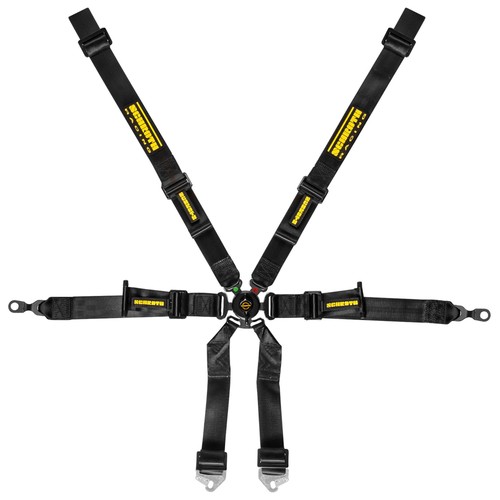 Schroth 2x2 point - fia, fhr