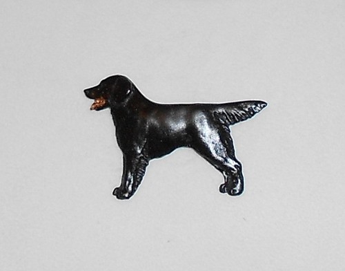 Flat coated retriever black - retriever,