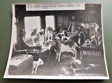 Vintage Original News Press