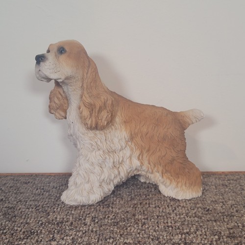 Castagna cocker spaniel - cocker, dog