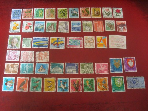 Switzerland x swiss - 50,