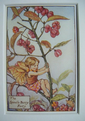 Vintage flower fairies - print, &