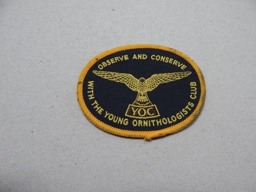 British observe and - british,