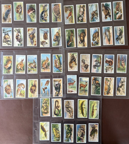 John player sons animals - player,