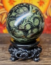 Healing Madagascan Kambaba