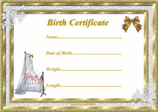 GOLD DRAPED CRIB BIRTH