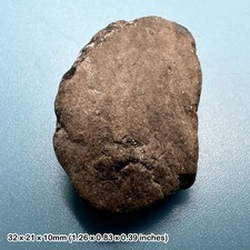 Ichthyosaur Coprolite Fossil