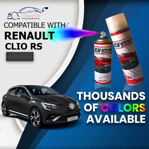 Renault clio 200 220t - 220t, raider