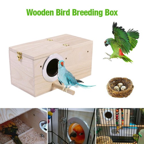 Bird breeding box cage nest - bird,