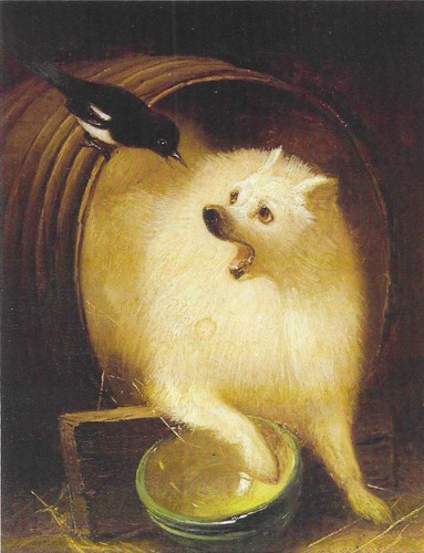 New dogs postcard museum art - postcard,