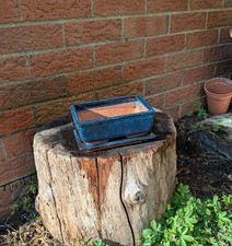 Rectangular Bonsai Pot with Tray | blue | Small Size 14.5x9.5cm