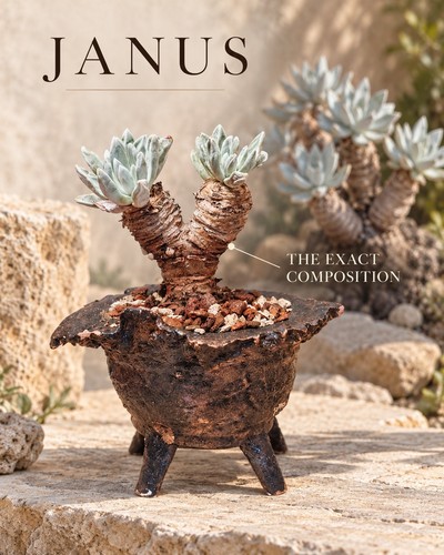 Janus dudleya pachyphytum - dudleya,