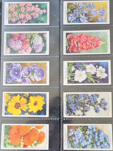 Garden flowers sudell - flowers, by