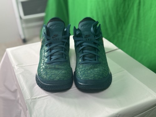 Nike zoom lebron - nxxt, gen