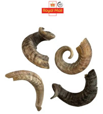 Premium Natural Lamb Lamb's Ram Horn Dog Treat Natural Chew High Protein Low Fat