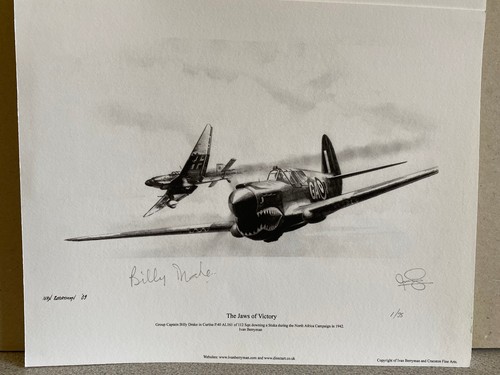 112 squadron aviation art - squadron,
