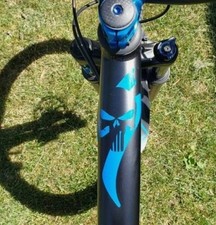 Specialized Punisher Skull MTB