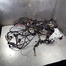 Renault Clio Mk2 2001-2006 182 Cup Interior Wiring Loom Harness 8200455418