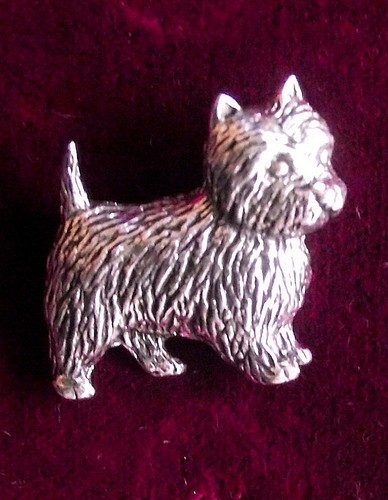 Pewter cairn terrier dog - pewter,