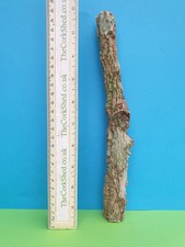 CORK BARK BRANCH 26CM LEOPARD