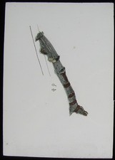 Glass Magic Lantern Slide