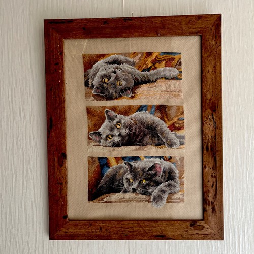 Cat cross stitch picture - cross,