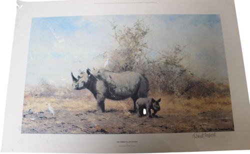 David shepherd the rhino - david,