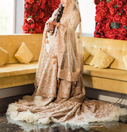 Designer asian pakistani - asian,