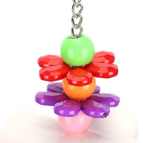 Cute parrots toy - parrots, bird
