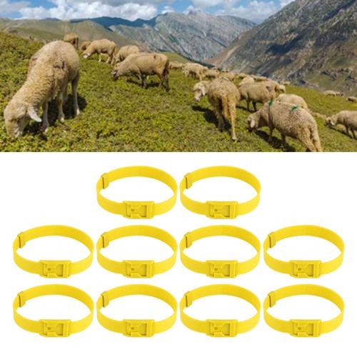 Goat collar 10pcs - collar, livestock