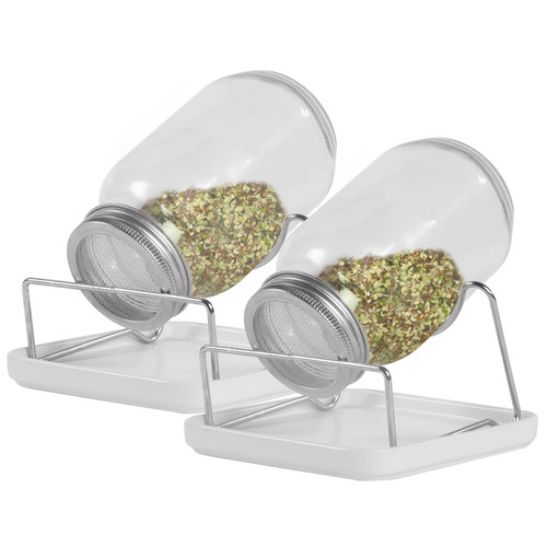 Seed sprouting jar kit - seed,