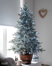 Pre-Lit Snow Flocked Potted