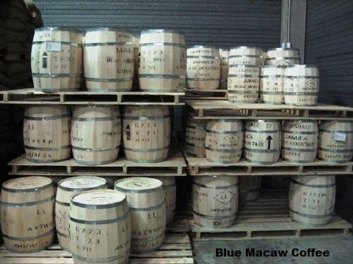 100 jamaican blue - jamaican,
