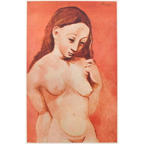 Picasso 1st edition period - picasso,